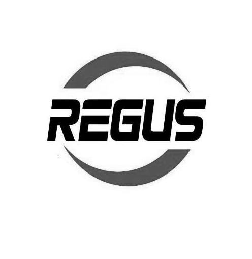 regus - 商标 - 爱企查