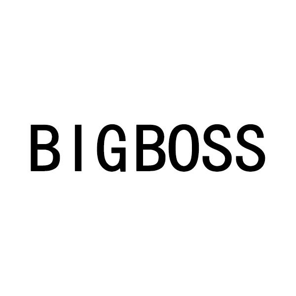 bigboss头像图片