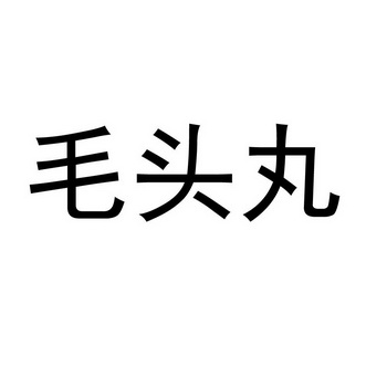 毛头丸商标注册申请申请/注册号:62493692申请日期:2022-02-08国际