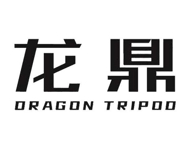 龙鼎 dragon tripod