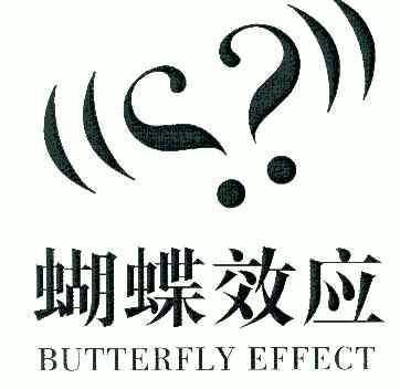 蝴蝶效应;butterfly effect                 