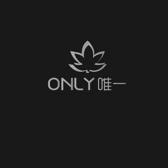 onlylogo图片图片