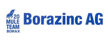 borazinc ag mule team  em>borax /em> 20