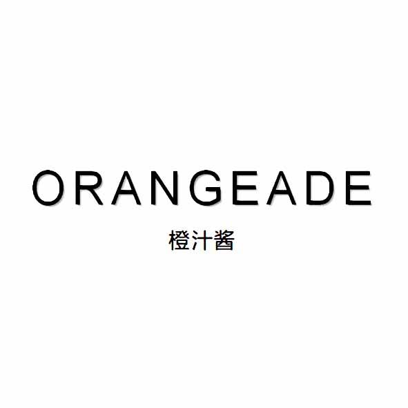  em>橙汁 /em> em>酱 /em> orangeade