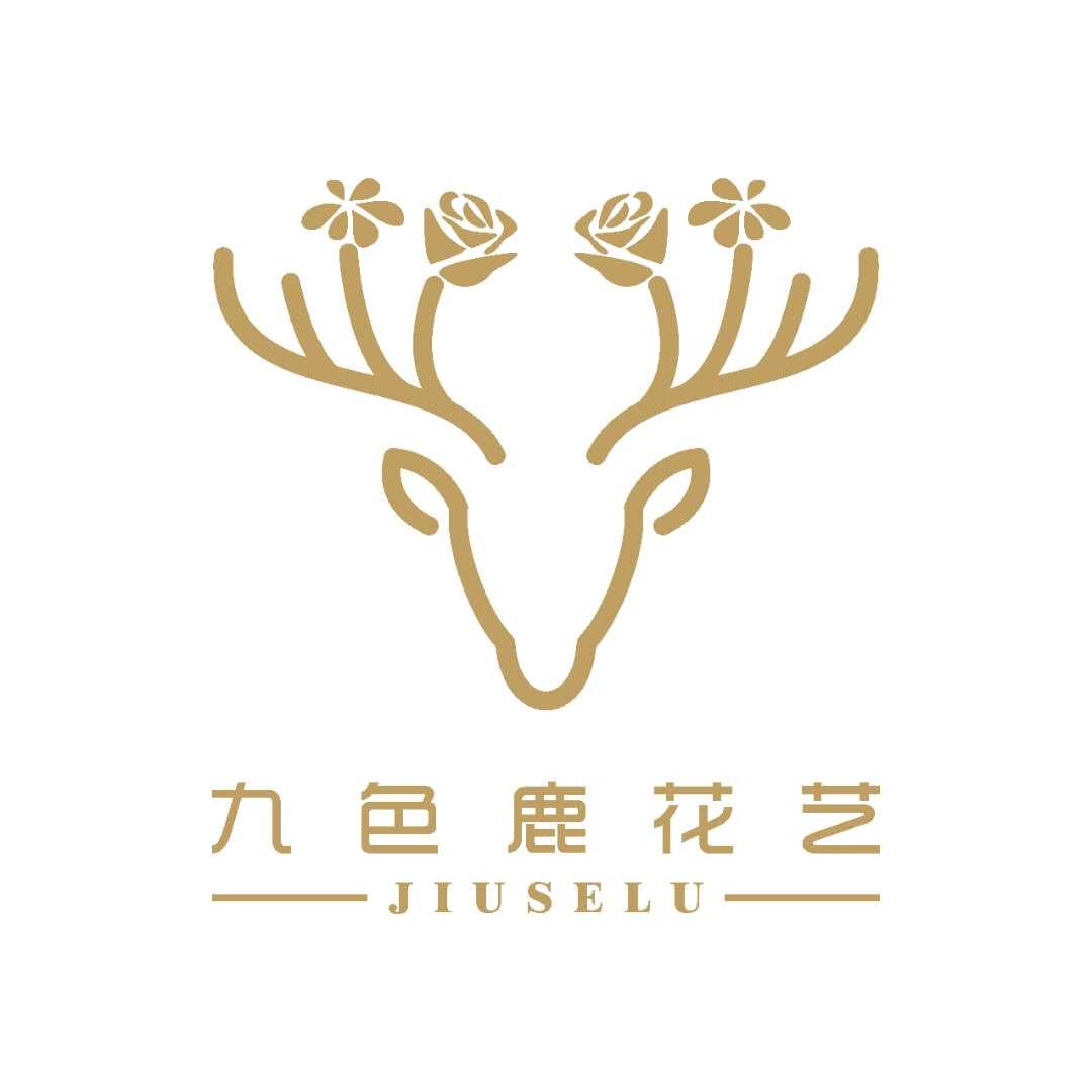 九色鹿花艺 jiuselu