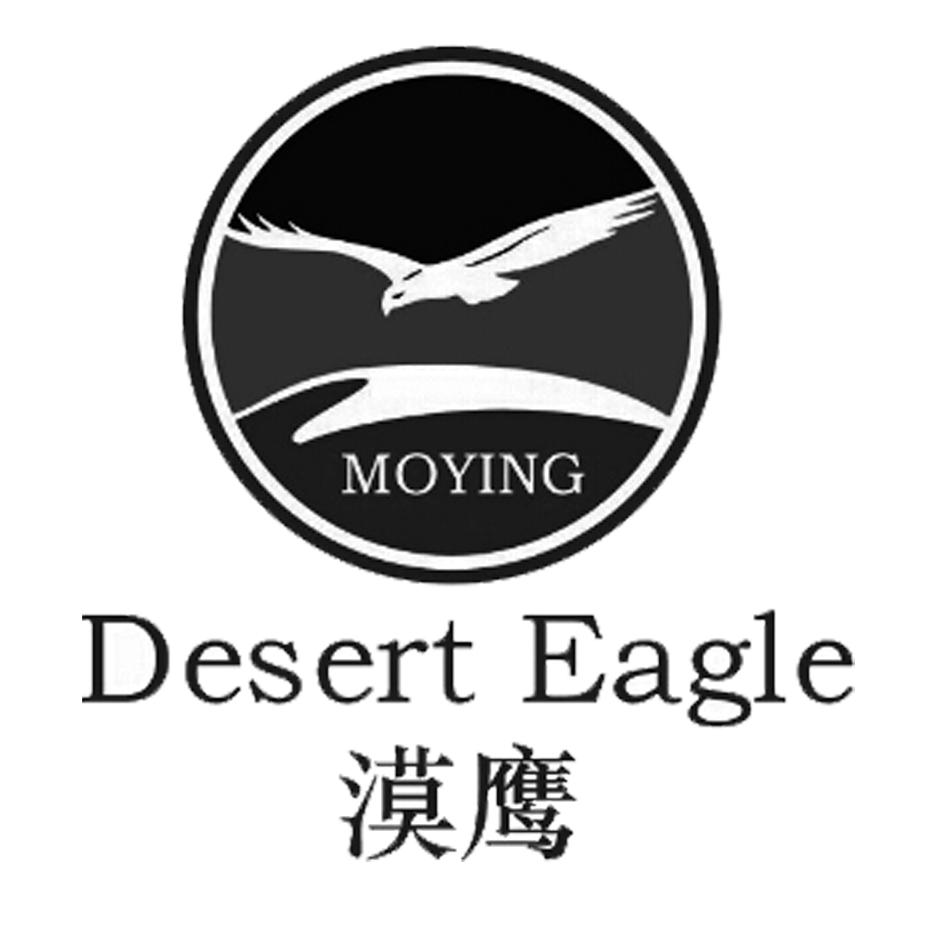  em>漠鹰 /em> desert eagle