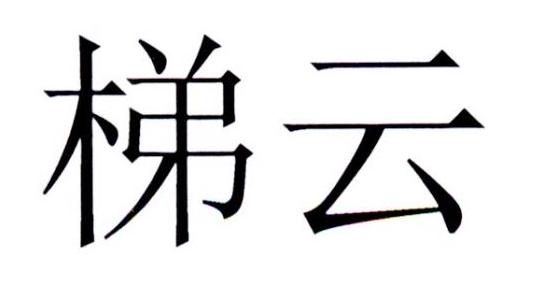 梯云_企业商标大全_商标信息查询_爱企查