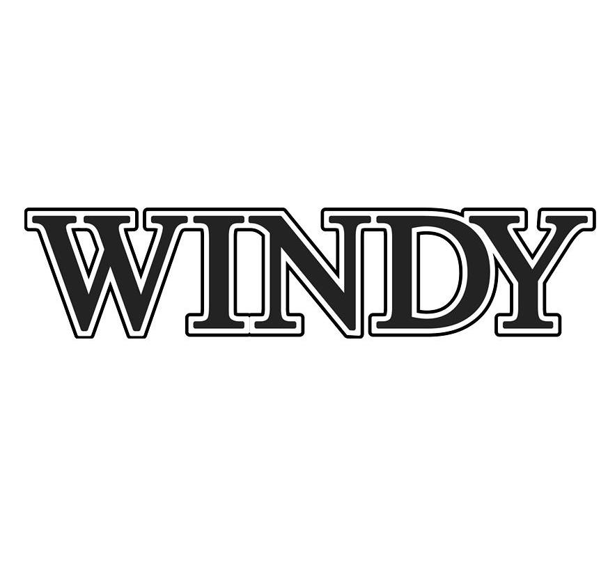 windy图标图片