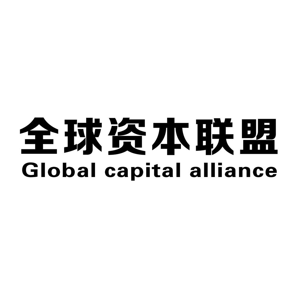 全球资本联盟 global  em>capital /em>  em>alliance /em>