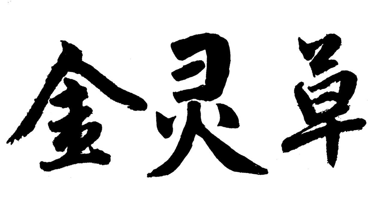 em>金灵草/em>