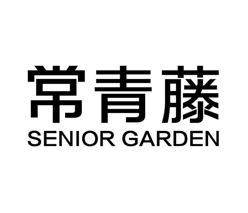 常青藤  em>senior /em>  em>garden /em>