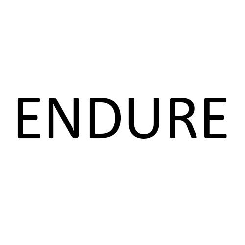  em>endure /em>