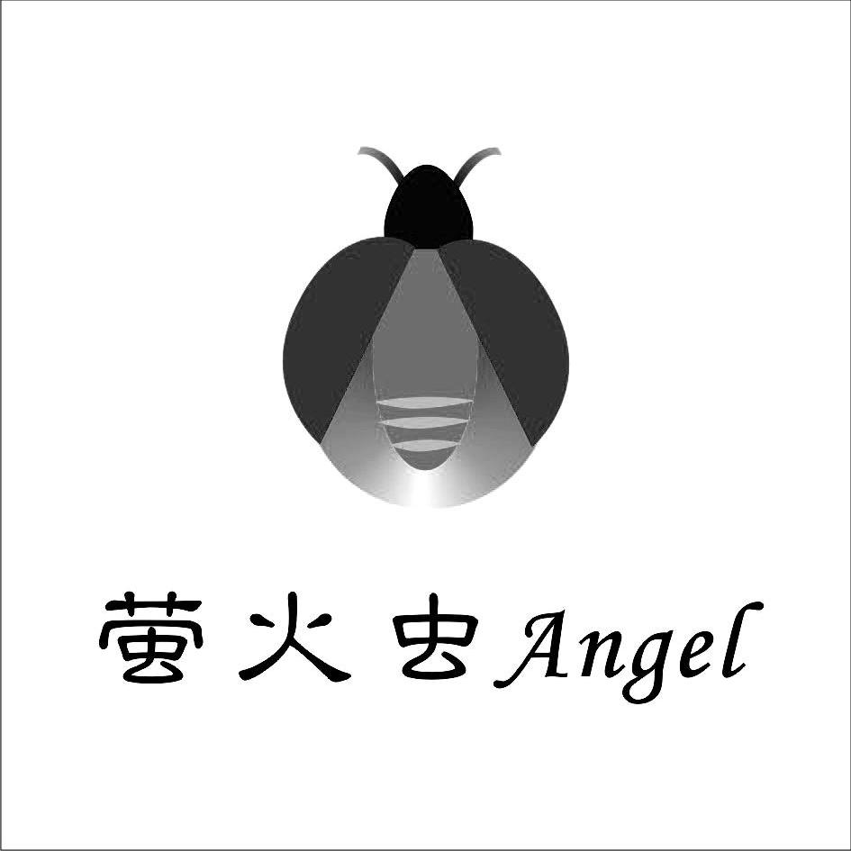  em>萤火虫 /em>  em>angel /em>