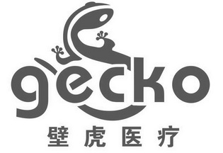  em>壁虎 /em> em>医疗 /em>  em>gecko /em>