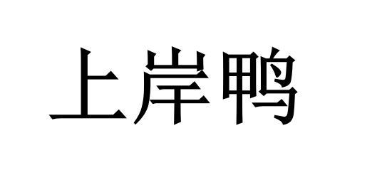  em>上岸 /em> em>鸭 /em>