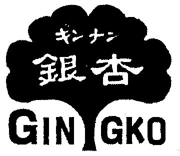  em>银杏 /em>; em>ging /em> em>ko /em>