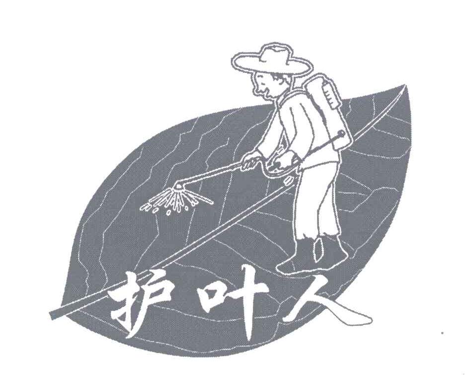 护 em>叶 /em> em>人 /em>