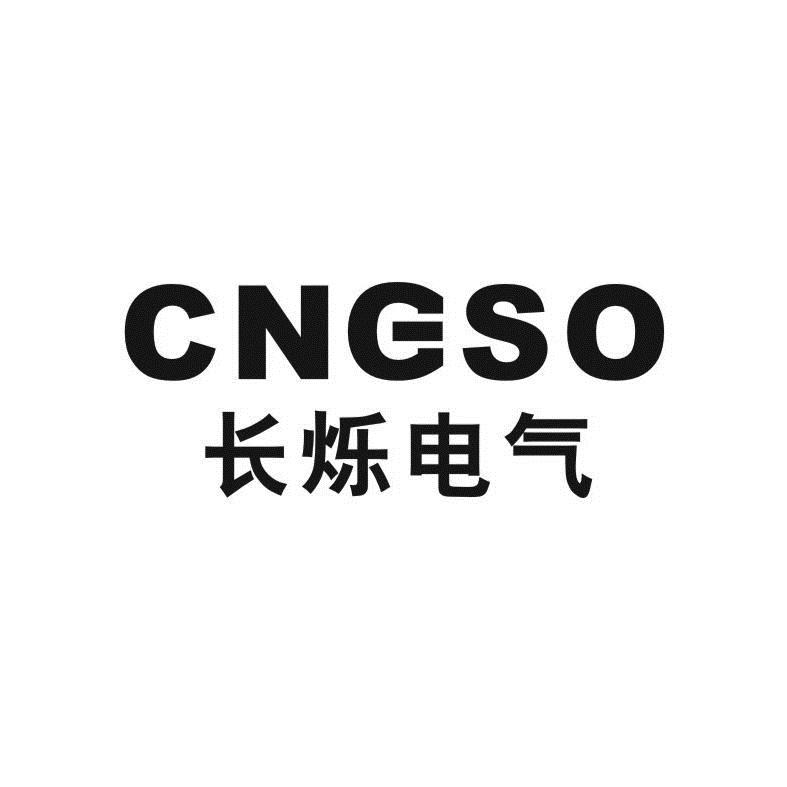 长烁电气 cngso