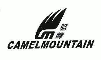  em>驼峰 /em>; em>camel /em> em>mountain /em>