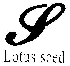  em>lotus /em> em>seed /em>及图