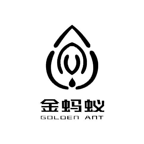 金蚂蚁