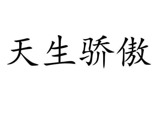 天生骄傲                                  