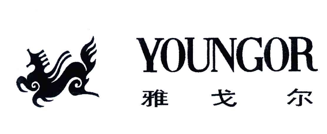  em>雅戈尔 /em>; em>young /em>or