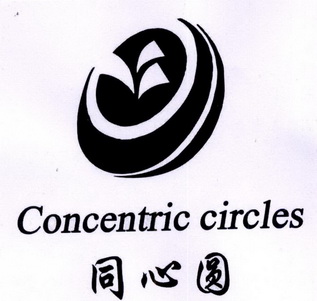 同心圆 concentric circles                 