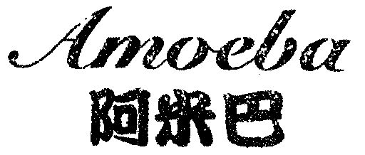  em>阿米巴 /em>  em>amoeba /em>