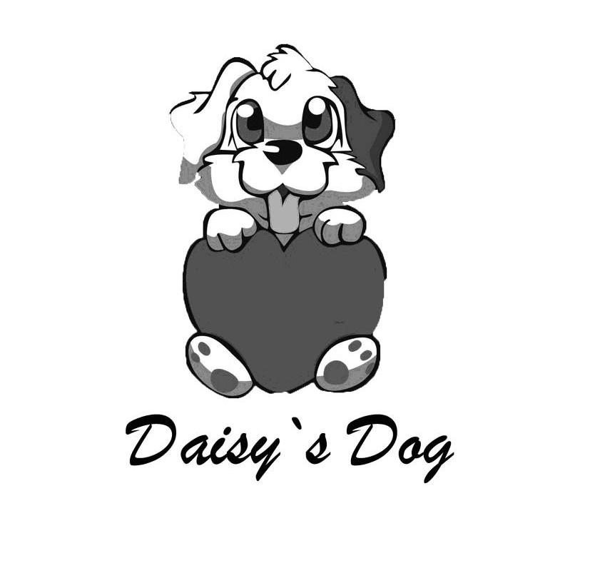 daisy`s  em>dog /em>