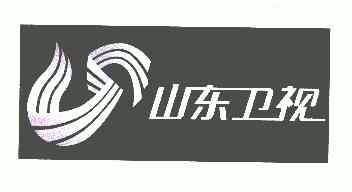 山东卫视 - 商标 - 爱企查