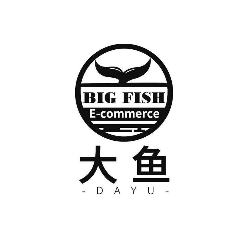 大鱼 em>big /em> fish e  em>commerce /em>