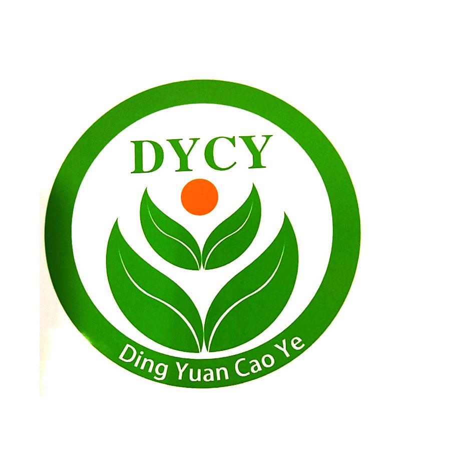  em>dycy /em> ding yuan cao ye