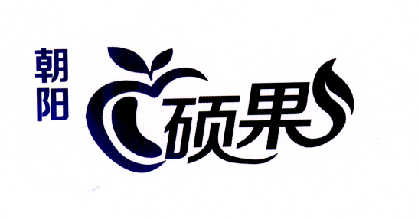 硕果时代logo图片