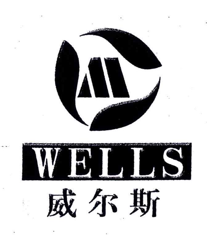  em>威尔斯 /em>; em>wells /em>