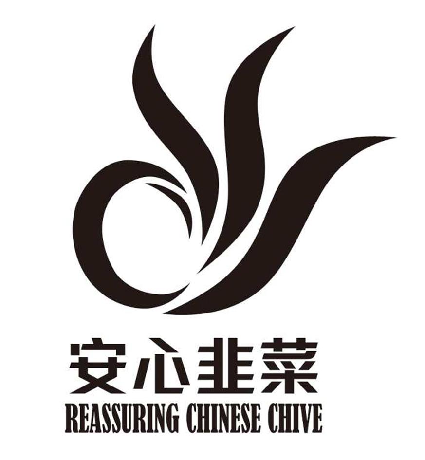 安心韭菜 reassuring chinese  em>chive /em>