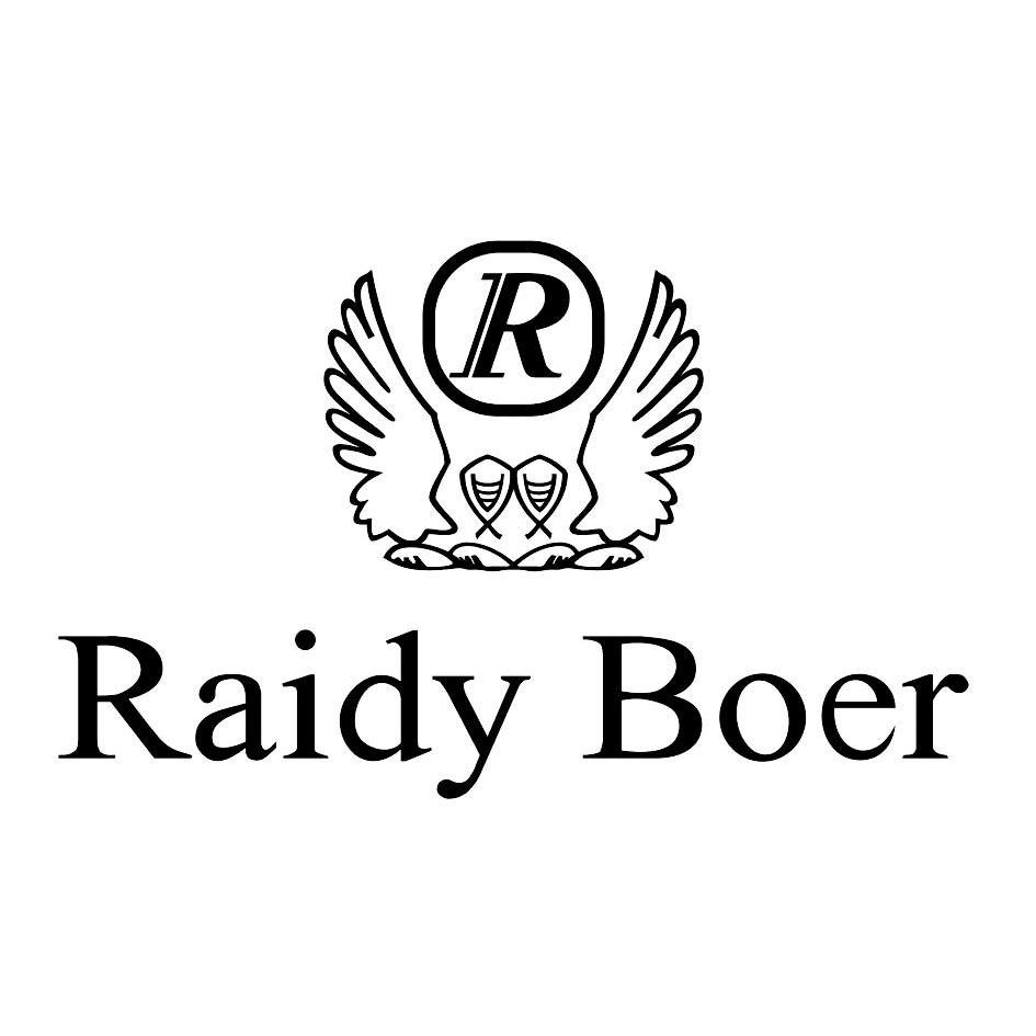  em>雷迪波尔 /em>  em>raidy /em> boer ir