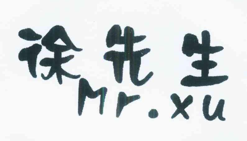 徐 em>先生 /em> mr.xu