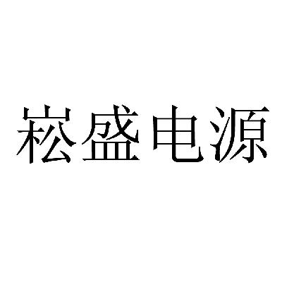 第09类-科学仪器商标申请人:深圳市 崧盛电子股份有限公司办理/代理