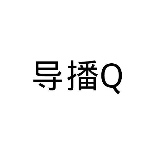 导播q