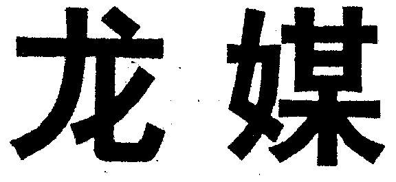 1998-05-18国际分类:第41类-教育娱乐商标申请人:北京龙之媒广告文化