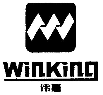  em>伟嘉 /em>; em>winking /em>