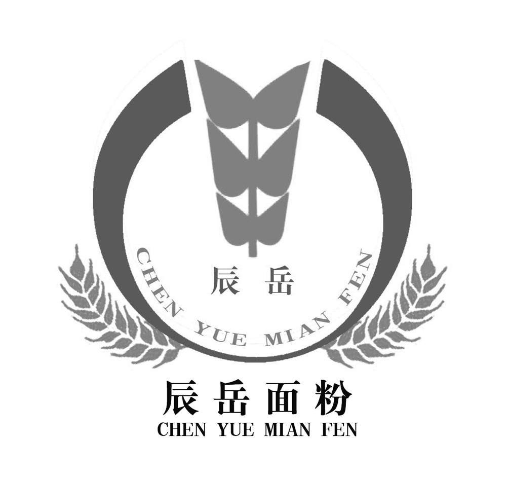  em>辰岳 /em> em>面粉 /em>