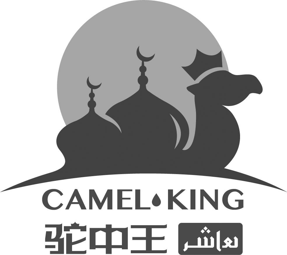 驼中王 camel king