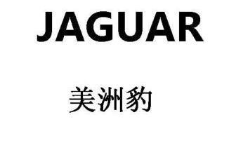  em>美洲 /em> em>豹 /em>  em>jaguar /em>