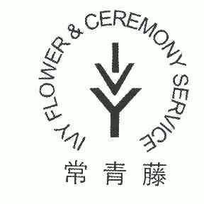 常青藤; em>ivy /em>  em>flower /em> ceremony service; em>ivy /em