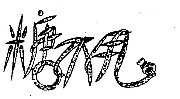  em>糖 /em> em>不 /em> em>甩 /em>