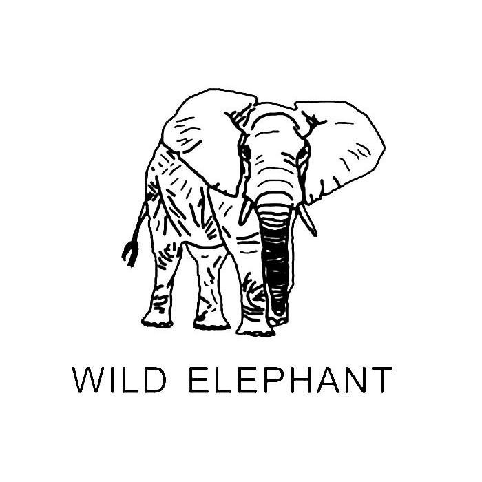  em>wild /em>  em>elephant /em>