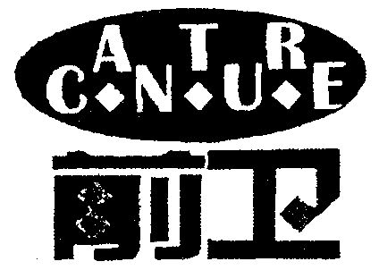  em>前卫 /em>  em>canture /em>