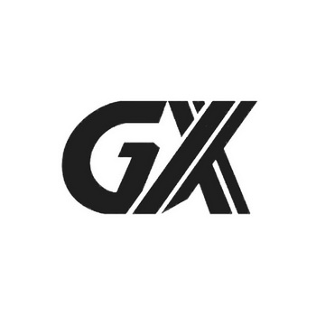 gx logo图片